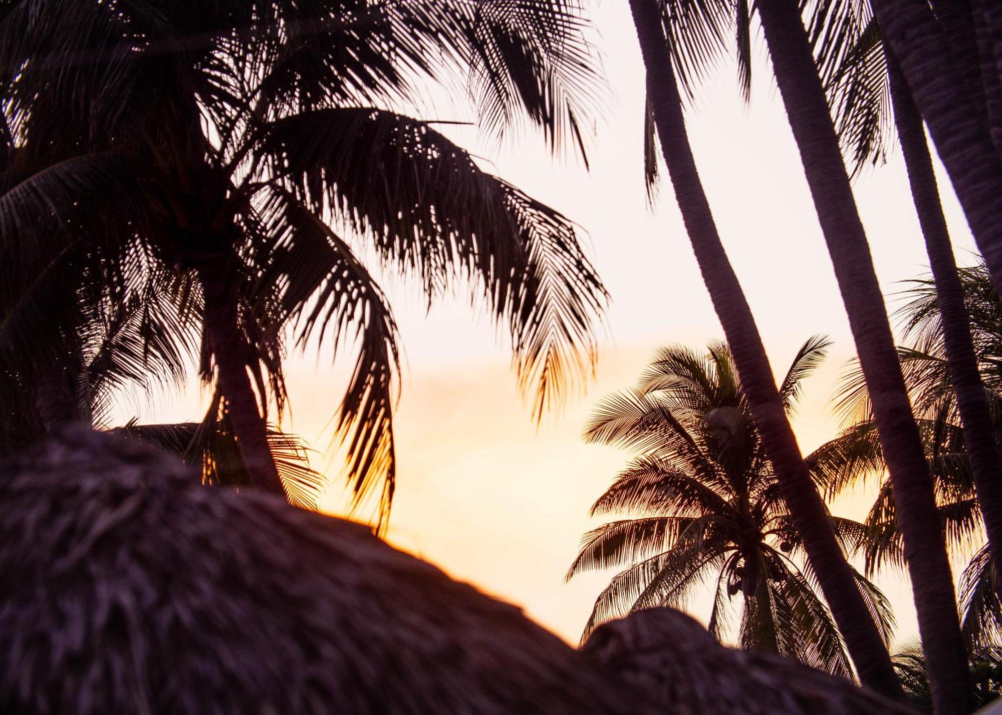 Almare Zonte - Beachfront Glamping Hotel エル・ゾンテ エクステリア 写真